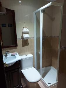 a bathroom with a shower and a toilet and a sink at Apartamento 2 habitaciones in Gondomar +6 photos