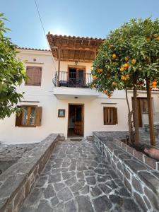 an orange tree in front of a building at Traditional House in Pámfylla