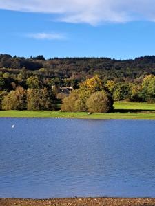 a large body of water with trees in the background at Maison Bord de lac de Guerledan in Guerlédan