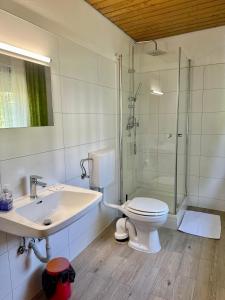 a bathroom with a toilet and a shower and a sink at Gasthaus & Pension Bracki gusti in Baden-Baden