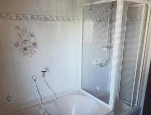 a shower with a glass door in a bathroom at Ferienwohnung Hüttenholzstraße in Ilmenau +2 photos