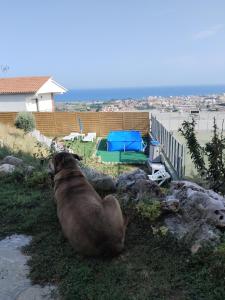 Príroda v okolí apartmánu