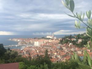 a view of a city with the ocean in the background at Apartments Mirjana in Piran