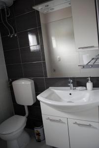 a bathroom with a sink and a toilet and a mirror at Ante Carov Apartment in Verunić