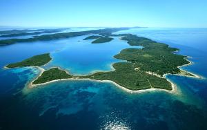 una vista aerea di un'isola in acqua di Ante Carov Apartment a Verunić