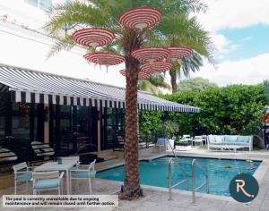 a palm tree in front of a swimming pool at Roami at Hotel Astor in Miami Beach