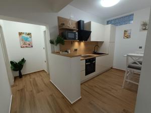 Η κουζίνα ή μικρή κουζίνα στο Apartmani Silvana&Vera
