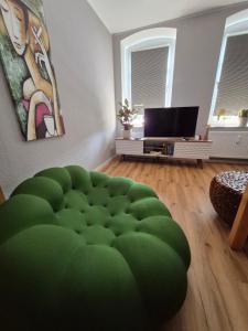 Μια τηλεόραση ή/και κέντρο ψυχαγωγίας στο Apartement Elsterblick +32 φωτογραφίες