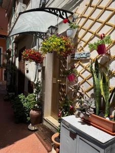 a building with potted plants on the side of it at I Tesori del Mare in Letojanni +23 photos