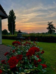 Zahrada ubytování Auberge d'Andaines