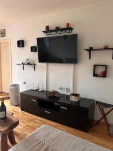 TV a/nebo společenská místnost v ubytování Feniks Apartment