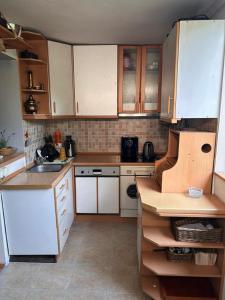Kuchyň nebo kuchyňský kout v ubytování Feniks Apartment