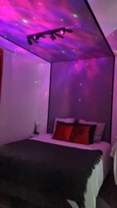 a purple bedroom with a bed with a purple ceiling at Appartement Tours centre in Tours