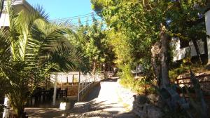 a dirt road with trees and a fence at Resort Village T.N. Milna in Vis