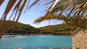 a view of a body of water with a palm tree at Resort Village T.N. Milna in Vis