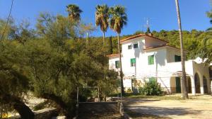 a white house with palm trees in front of it at Resort Village T.N. Milna in Vis
