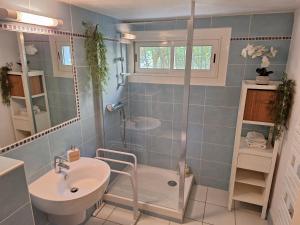 un baño con ducha y lavabo en Le jardinet d'Emma - Appart RDC avec jacuzzi, parking, au calme, en Raphèle