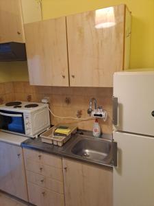 Kuchyňa alebo kuchynka v ubytovaní P.A.G Apartments