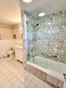 a bathroom with a tub and a shower and a toilet at Mountain Ash Country Manor and Spa in Creemore