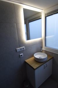 a bathroom with a sink and a mirror at Boszicht aan Zee, new holiday home in Biggekerke in Biggekerke