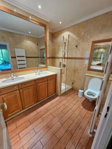 een badkamer met een toilet, een wastafel en een douche bij Villa HELIOS in Cannes