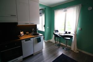a kitchen with green walls and a sink and a counter at Keltaisen Kartanon Minttu in Mänttä
