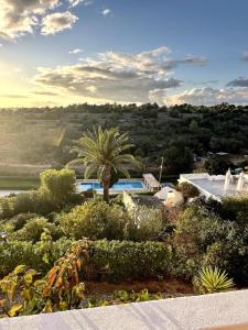 a villa with a palm tree and a swimming pool at Casinha do Amor in Guia