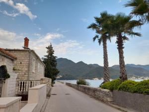 a street with palm trees and a building next to the water at Studios Annie in Bijela