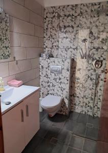 a bathroom with a toilet and a shower at Studios Niki in Koinyra