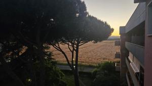Paesaggio naturale nelle vicinanze dell'appartamento