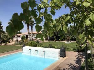 a pool in front of a house with trees at Finca Almenara de Copau in Zaragoza