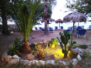 a garden with chairs and palm trees on the beach at Sarantakis Apartments in Agios Andreas