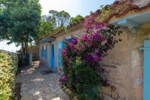Κήπος έξω από το Vila Majda +11 φωτογραφίες