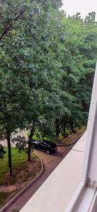 a car is parked on a road with trees at Honey Studio in Onești