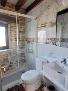 a bathroom with a toilet and a shower and a sink at La cabaña de San Pelayo in San Pelayo +4 photos