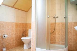 un bagno con wc e doccia in vetro di Apartmány U Petra s pláží a Horní Planá Altre 36 foto