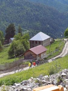 Příroda nedaleko apartmánu + 13 fotografií