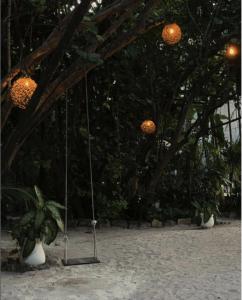 Fotografie z fotogalerie ubytování Casa Violeta v destinaci Tulum