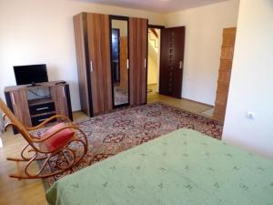 a living room with a table and a chair and a rug at Vila CETINA in Fundu Moldovei
