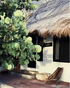 Fotografie z fotogalerie ubytování Casa Violeta v destinaci Tulum