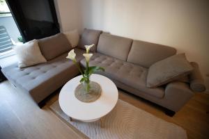 a living room with a couch and a table at Apartman Superior Centar in Trebinje