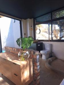 a plant in a glass bowl on top of a table at Luxury Villa in Windhoek with Private Pool in Khomas Region