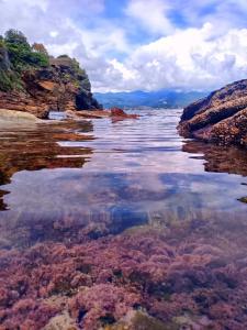 a large body of water with rocks and trees at La Casa nel Carobio in Ameglia