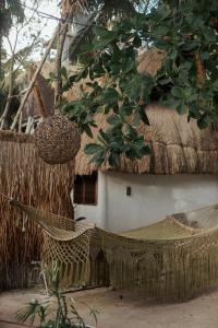 Fotografie z fotogalerie ubytování Casa Violeta v destinaci Tulum