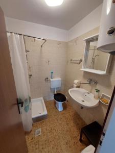 Koupelna v ubytování Apartmaji Vrabec