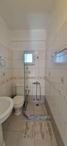 a bathroom with a toilet and a sink at Villa Violeta in Ksamil +83 photos