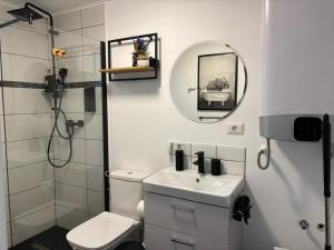 a bathroom with a toilet and a sink and a mirror at Tiny Teo Sătic in Satic