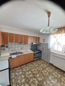 Kuchyň nebo kuchyňský kout v ubytování Apartmaji Vrabec + 14 fotografií