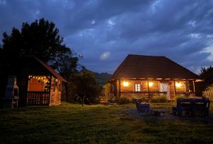 a house with lights on the front of it at night at Casa cu Lavanda in Petroşani