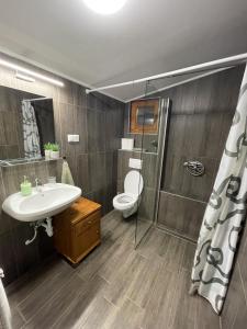 a bathroom with a sink and a toilet and a shower at Halász Vendégház Jakuzzival Tiszakécske in Tiszakécske +23 photos